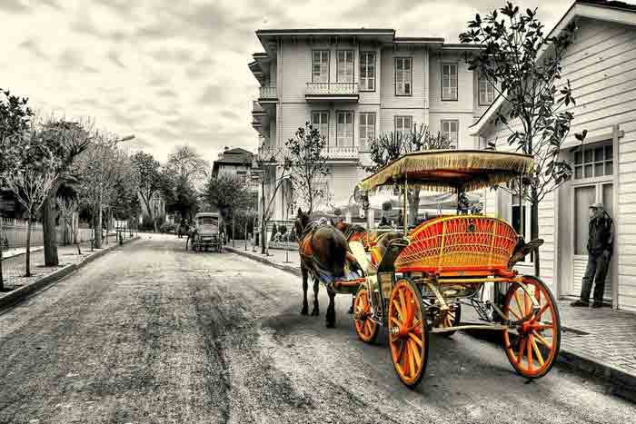 Buyukada istanbul private tours buyukada phaeton