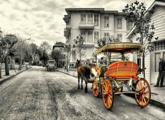 Buyukada istanbul private tours buyukada phaeton