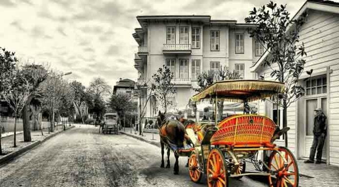 Buyukada istanbul private tours buyukada phaeton