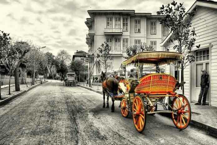 istanbul private tours buyukada phaeton