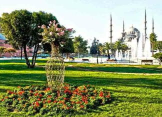 Blue Mosque customized istanbul tour blue mosque general view