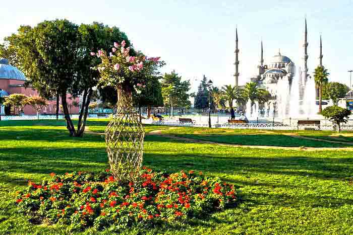 customized istanbul tour blue mosque general view