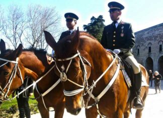 Republic of Congo Diplomatic group guided tour istanbul republic congo diplomatic group cavalry topkapi palace