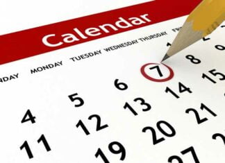 Calendar of guide Ensar istanbul tours guide calendar