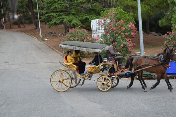 Istanbul_Hidden_Gems_Tour_209